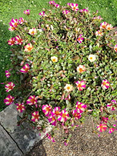 Museum «Audubon Museum & Nature Center», reviews and photos, 3100 US-41, Henderson, KY 42420, USA