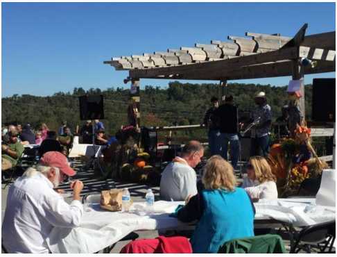 Winery «Tennessee Valley Winery», reviews and photos, 15606 Hotchkiss Valley Rd E, Loudon, TN 37774, USA