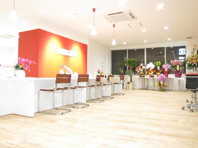 ミニミニFC新潟店