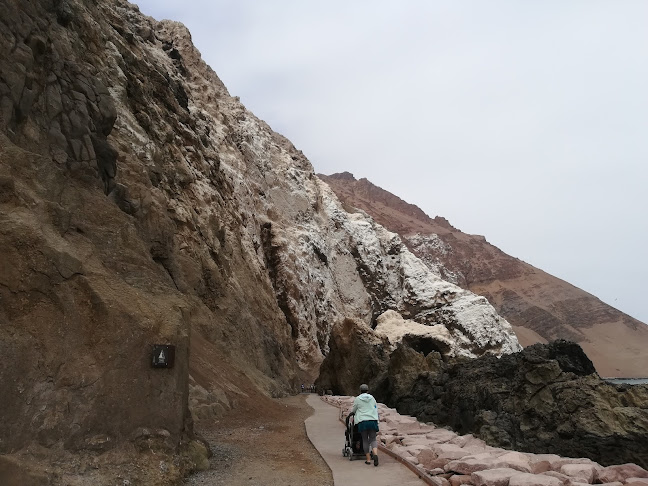 Sendero Interpretativo Cuevas De Anzota - Arica