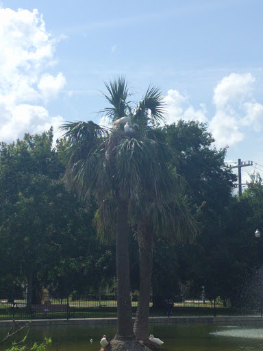 Park «Riverside Park», reviews and photos, 753 Park St, Jacksonville, FL 32204, USA