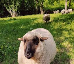 Tapach Park photo