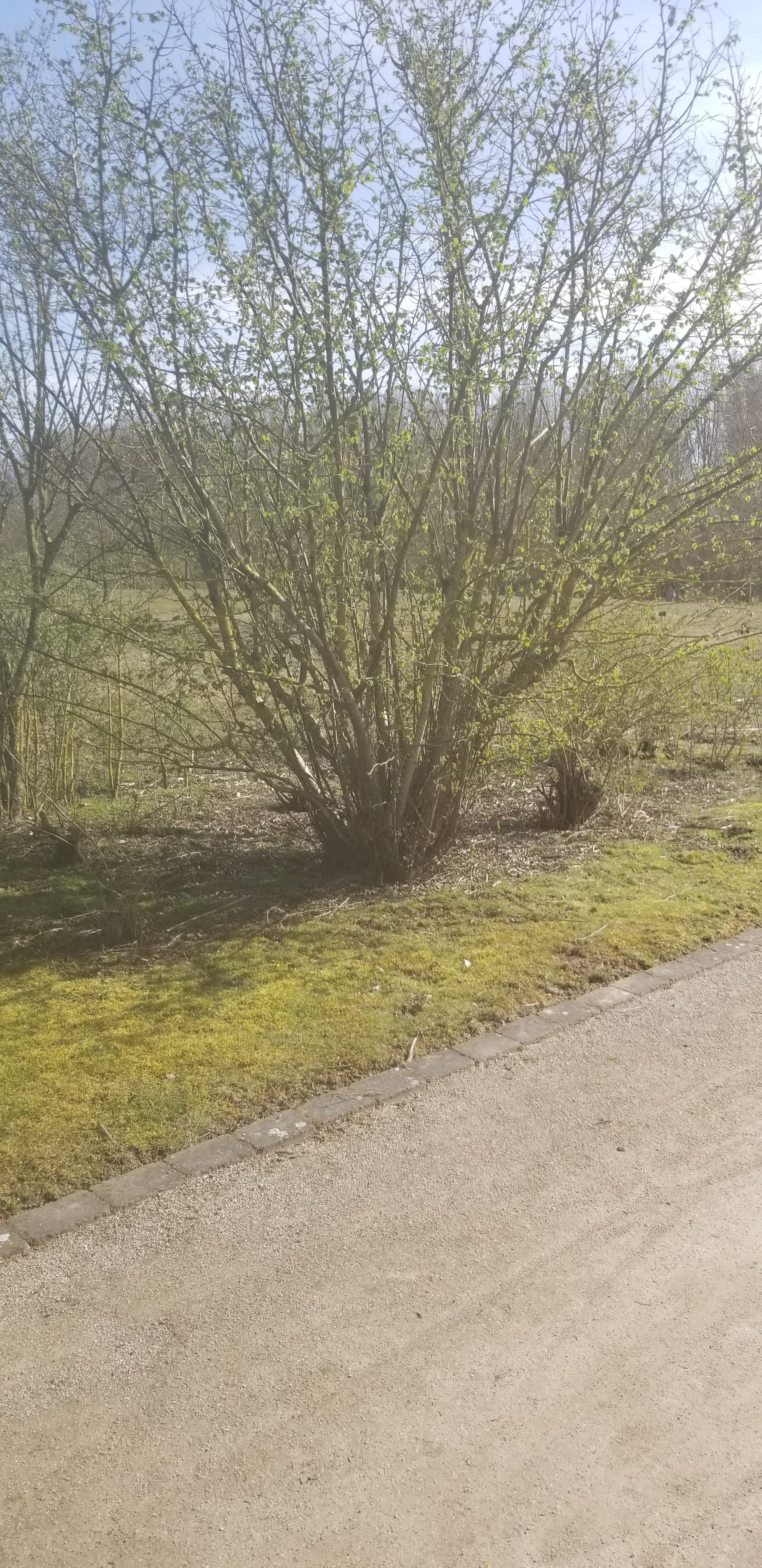 Photo n° 1 de l'avis de Helene.e fait le 29/03/2021 à 15:00