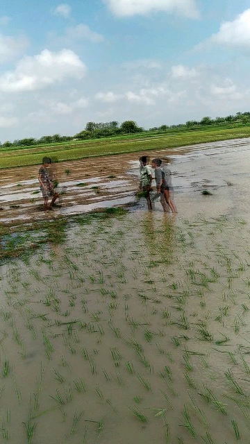 NICKY बागरी रैगढ़