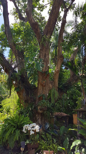 Tourist Attraction «Walton House», reviews and photos, 28501 SW 187th Ave, Homestead, FL 33030, USA