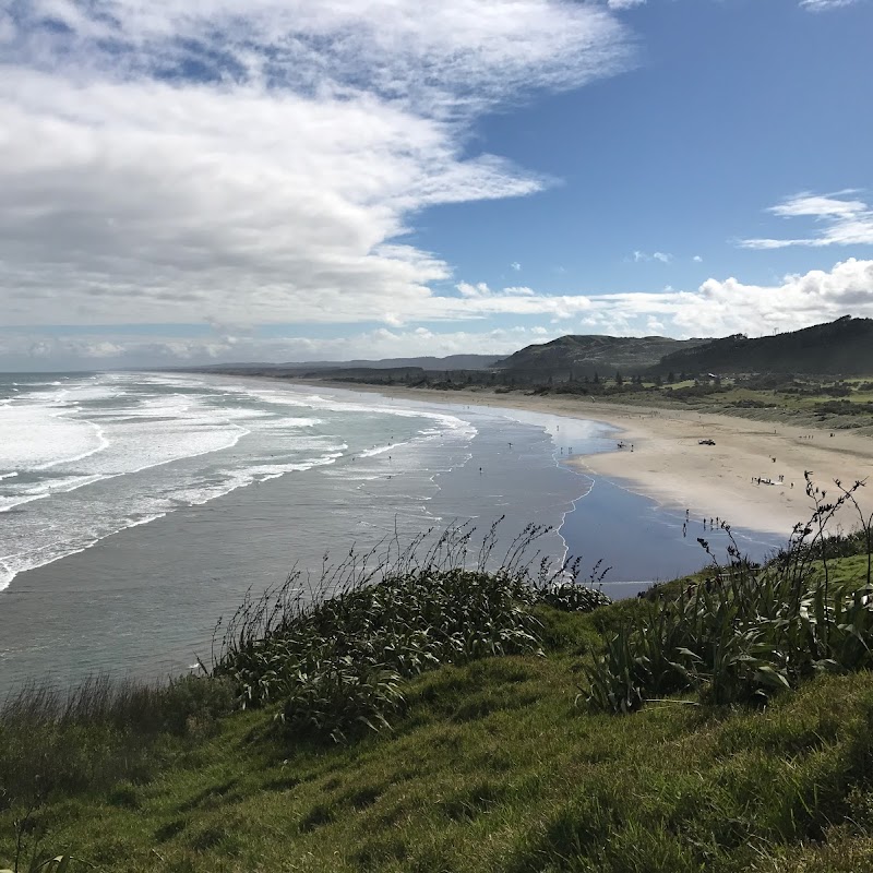 Muriwai Lookout