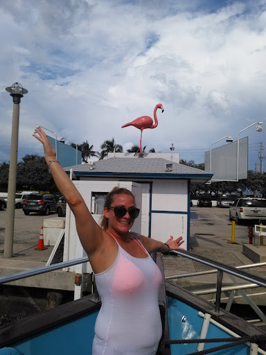 Fishing Charter «Flamingo Deep Sea Fishing», reviews and photos, 801 Seabreeze Blvd, Fort Lauderdale, FL 33316, USA