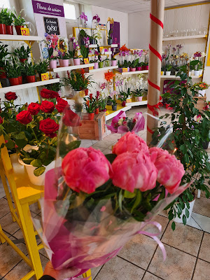 Rapid Flore à Albertville