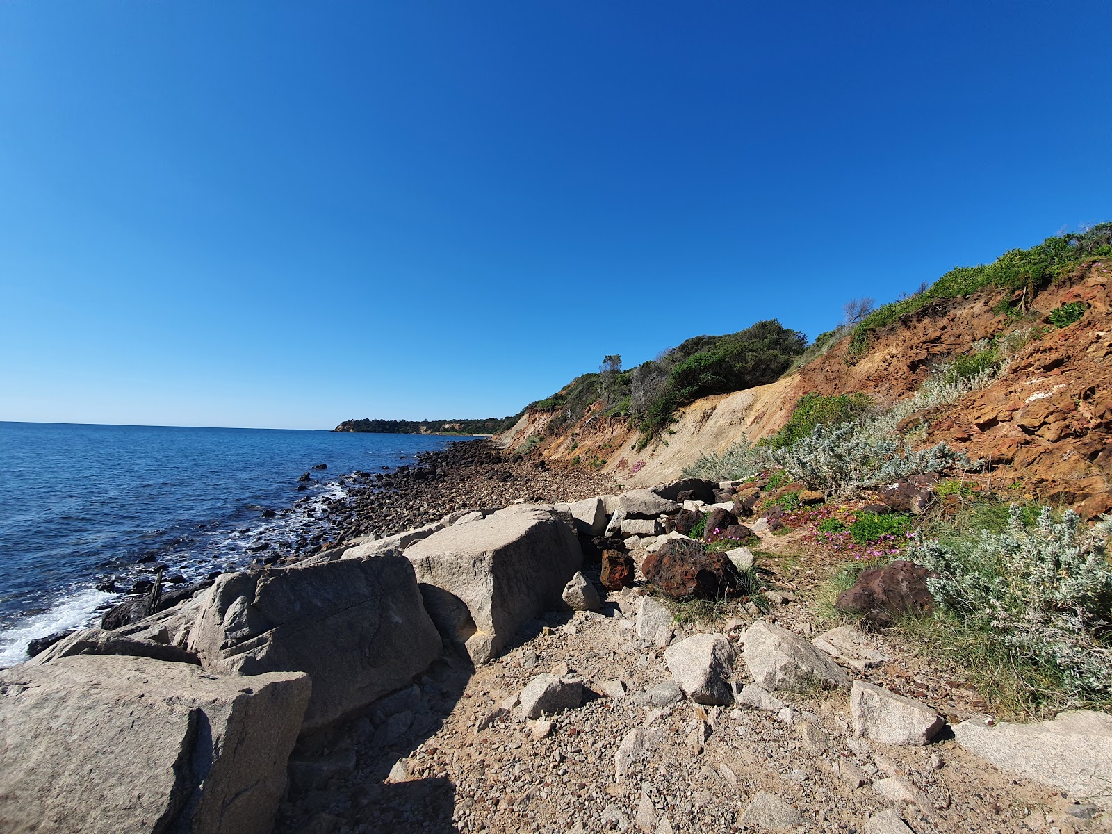 Fosters Beach'in fotoğrafı vahşi alan