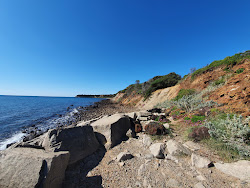Fosters Beach'in fotoğrafı vahşi alan