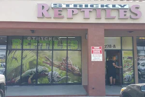 The Reptile Shop image