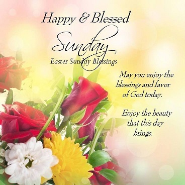 Non-Profit Organization «St. Francis Thrift Store», reviews and photos, 1425 1st Ave S, Fargo, ND 58103, USA