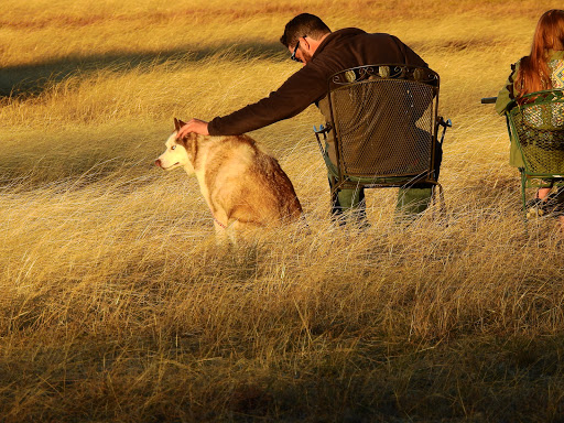 Wine Bar «Pedernales Cellars», reviews and photos, 2916 Upper Albert Rd, Stonewall, TX 78671, USA
