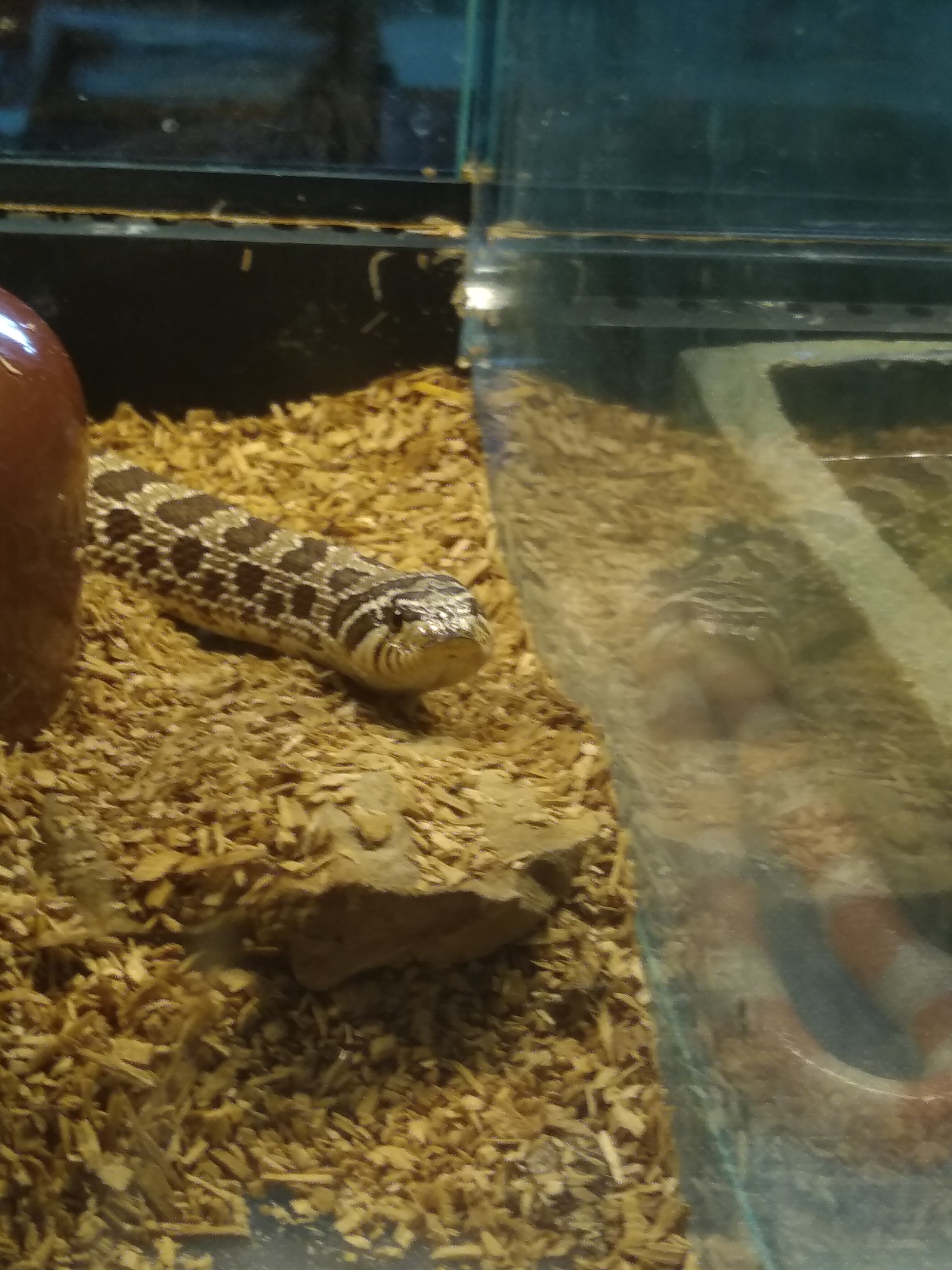 Photo n° 1 de l'avis de Sébastien.h fait le 31/07/2018 à 10:46