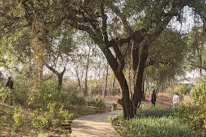 Amla Herbal Park image