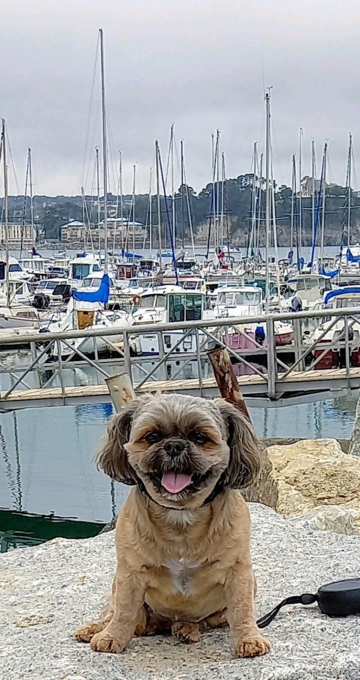 Photo n° 1 de l'avis de gysele.a fait le 30/08/2023 à 13:07