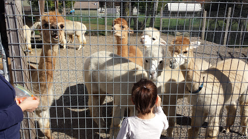 Boutique «Six Paca Farm», reviews and photos, 44 Bozrah St, Bozrah, CT 06334, USA