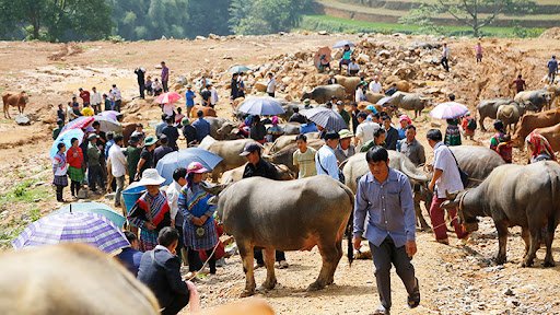 Top 20 các cửa hàng dkbike Huyện Xi Ma Cai Lào Cai 2022
