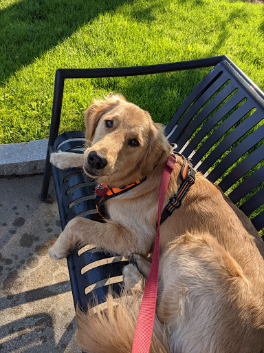 Museum «Metropolitan Waterworks Museum», reviews and photos, 2450 Beacon St, Chestnut Hill, MA 02467, USA