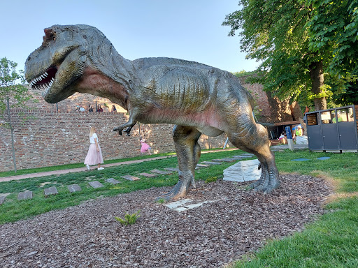 Dino Park 