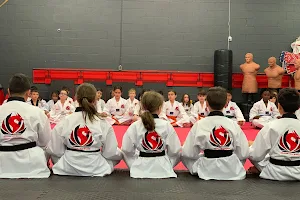 Dragon Taekwondo Academy Milton - Winter Break Camps, After School Programs, Ninja Course image