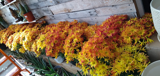 Home Improvement Store «The Home Depot», reviews and photos, 7001 Crestwood Blvd #1300, Birmingham, AL 35210, USA