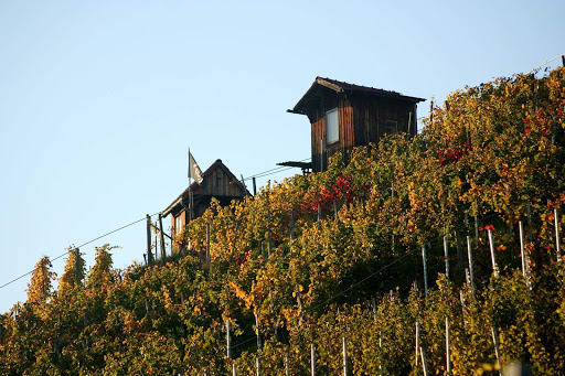 Vintage Winery Stuttgart