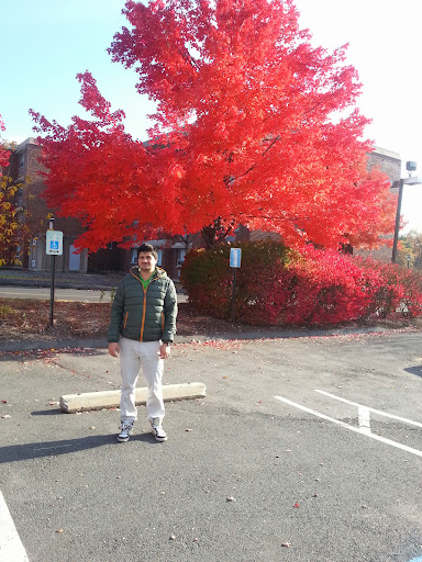 University «University of Hartford», reviews and photos