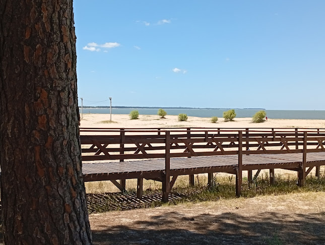 Comentarios y opiniones de Balneario Boca de Cufré