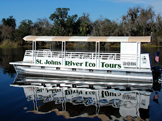 St. Johns River Eco Tours