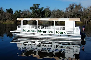 St. Johns River Eco Tours image