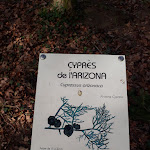 Photo n° 6 de l'avis de Lutin.. fait le 20/06/2023 à 12:05 pour Arboretum à Brienne-le-Château