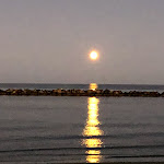 Photo n°8 de l'avis de Roberto.o fait le 13/01/2019 à 17:15 sur le  PRESTIGE à Lido delle Nazioni