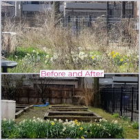 Lawn Care Maven, LLC - Photo 6 - Car repair in Chicago, IL, Chicago