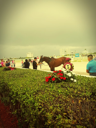 Racecourse «Gulfstream Park Racing and Casino», reviews and photos, 901 S Federal Hwy, Hallandale Beach, FL 33009, USA