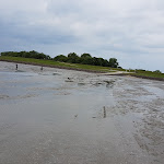 Photo n°10 de l'avis de Jens.� fait le 14/06/2017 à 15:17 sur le  Hotel Hus achtern Diek Griebel à Hamburg