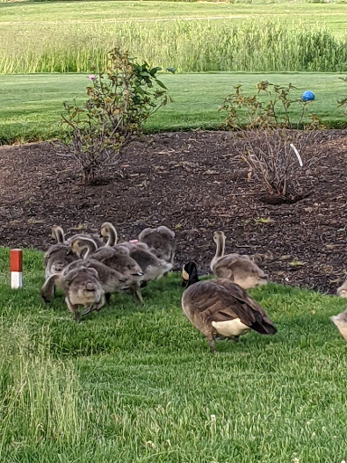 Country Club «Pine Ridge Country Club», reviews and photos, 30601 Ridge Rd, Wickliffe, OH 44092, USA