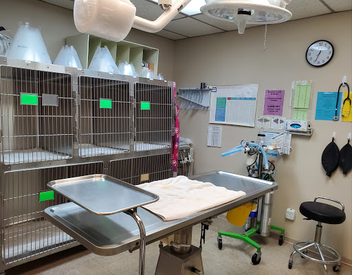 Fort Myers Veterinary Hospital image