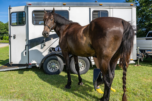 Horseback riding service Newport News