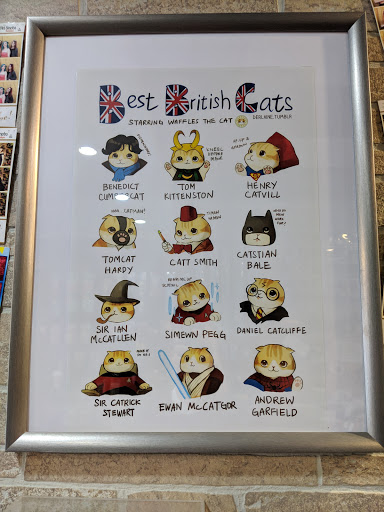 Pet Supply Store «The Pet Snobs Boutique», reviews and photos, 534 S 4th St, Philadelphia, PA 19147, USA