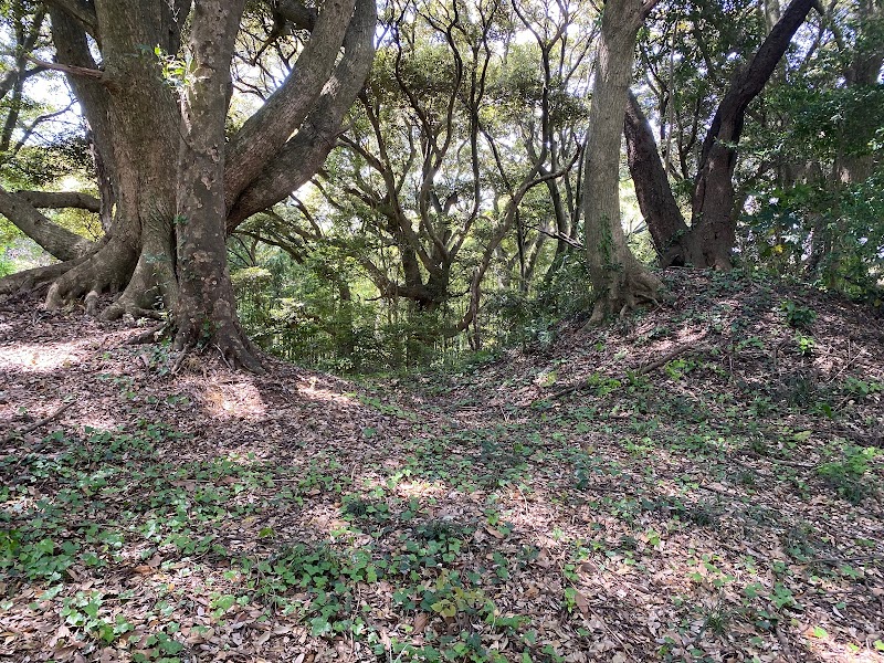 長沼城跡