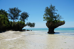 Foto di Pemba Island Beach con una costa spaziosa