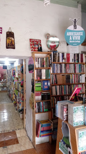 Opiniones de Libreria Caza del Libro en Rancagua - Librería