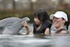 Island Dolphin Care