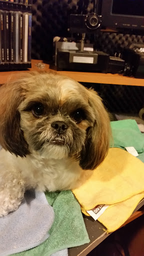 Pet Supply Store «PetSmart», reviews and photos, 12483 Limonite Ave, Mira Loma, CA 91752, USA