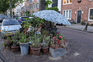 Schilderijenrestauratie Haarlem