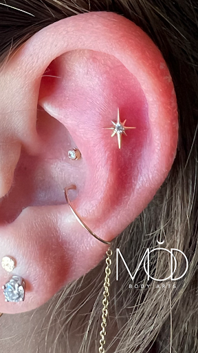 Explore marine life tattoo ideas, creative tattoo ideas in Denver, available at Mod Body Arts