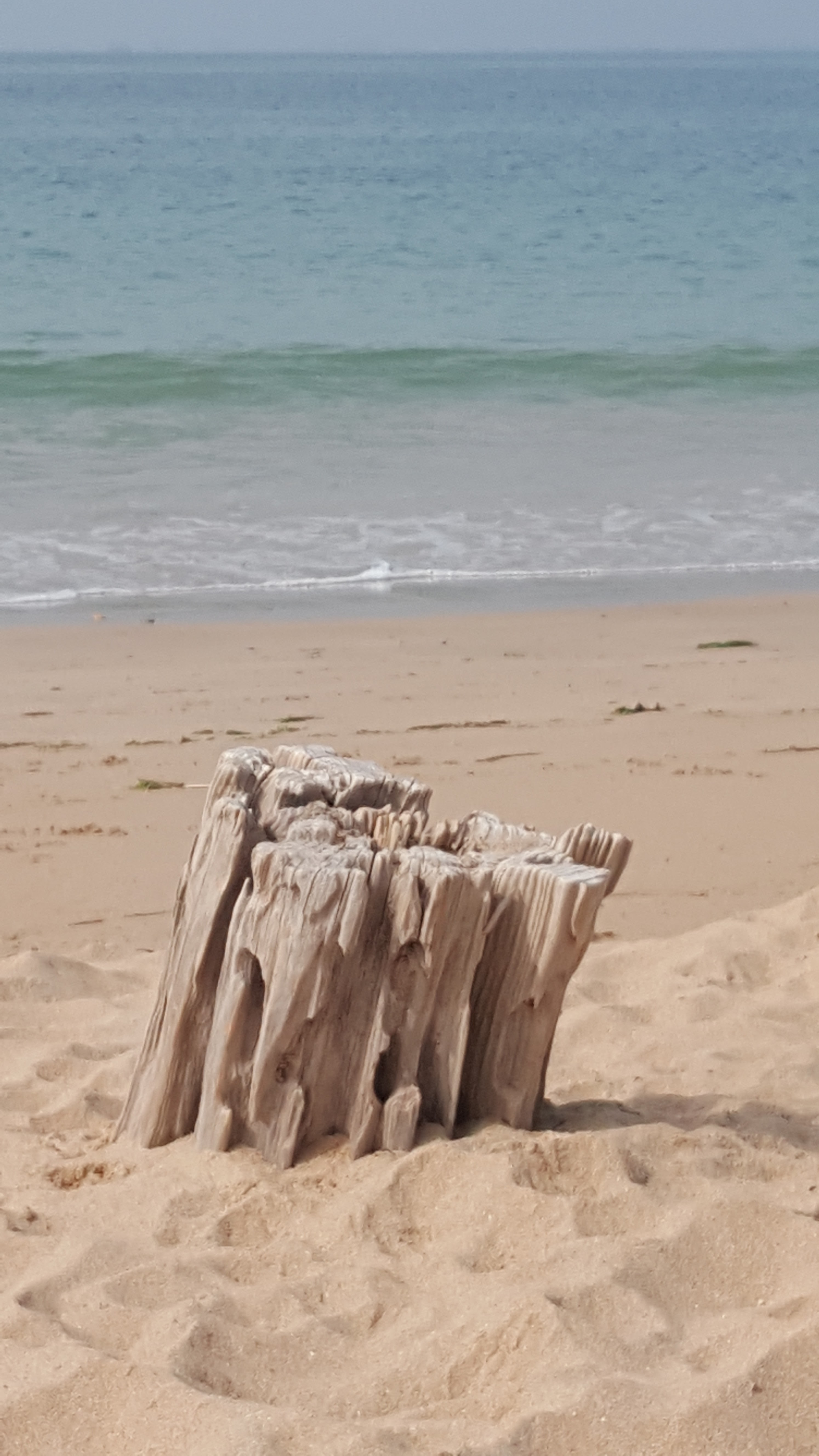 Photo n° 2 de l'avis de olivier.G fait le 19/08/2019 à 17:21