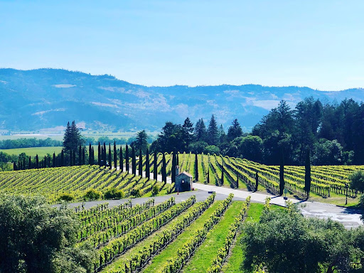 Bus Tour Agency «Rek Travel, LLC», reviews and photos, 5825 W Irving Park Rd, Chicago, IL 60634, USA