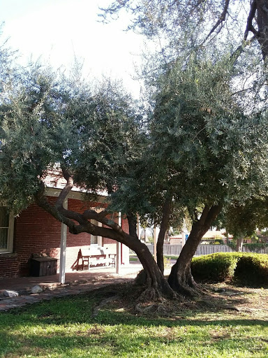 Museum «John Rains House», reviews and photos, 8810 Hemlock, Rancho Cucamonga, CA 91730, USA